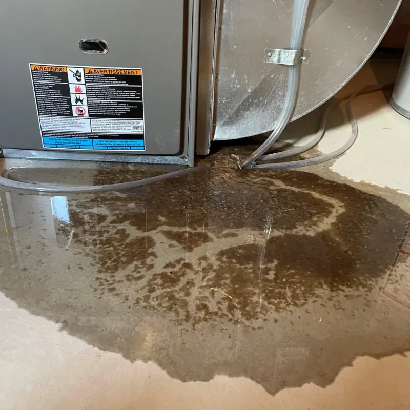 Appliance Leak Cleanup in Valparaiso, IN